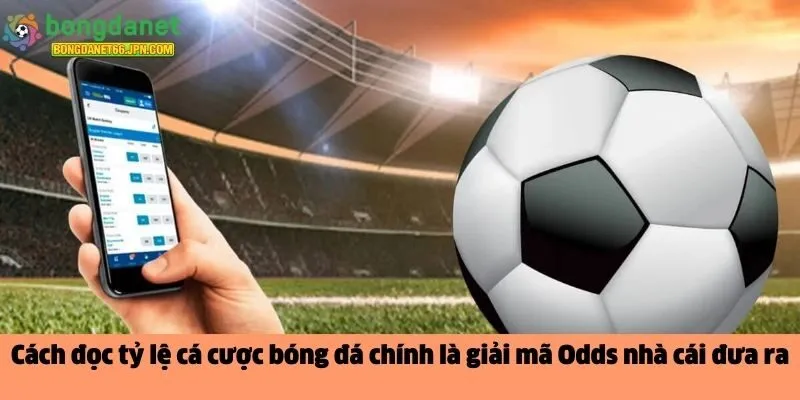 Cách đọc tỷ lệ cá cược bóng đá